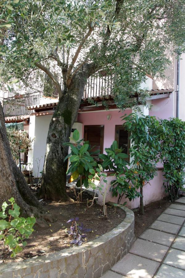 Hotel Santaclara Camerota Exterior photo